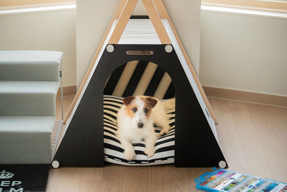 Phoenix Resort Pyeongchang [Pet Friendly] Sky Royal (High Floor, Air-dresser)_Randomly assigned A or B Type 10