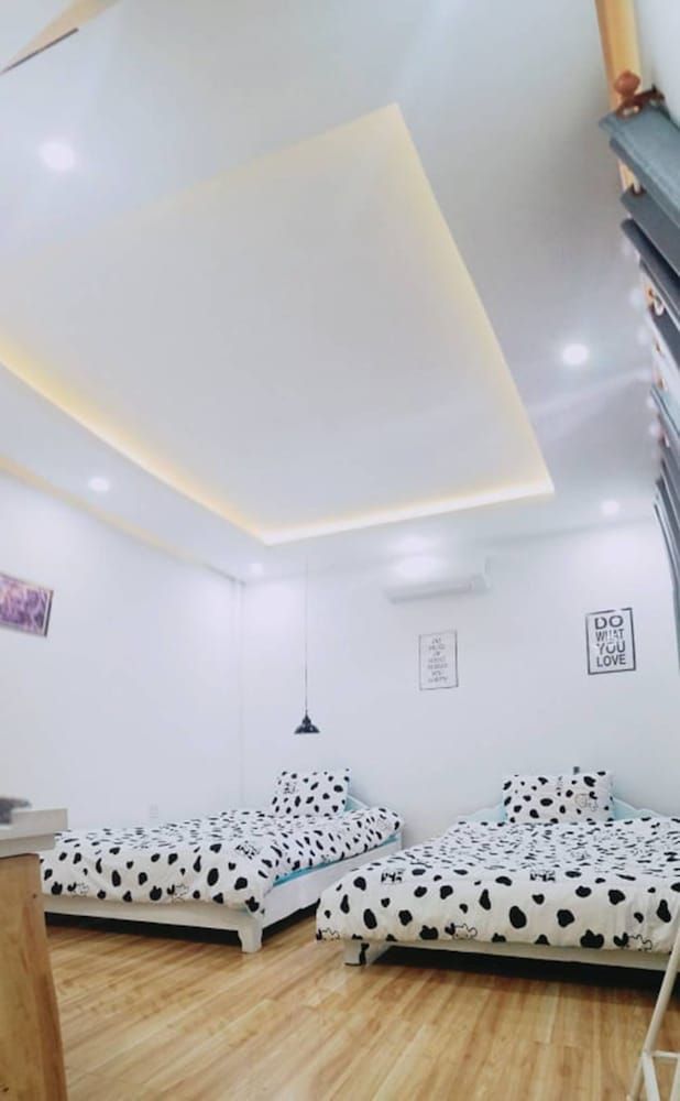 Cat's Hostel Economy Single Room, Multiple Beds 11