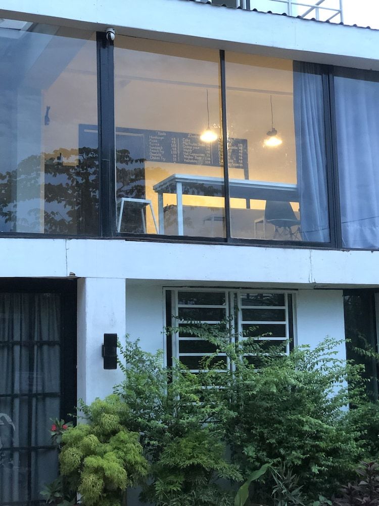 undefined Cat's Hostel 7