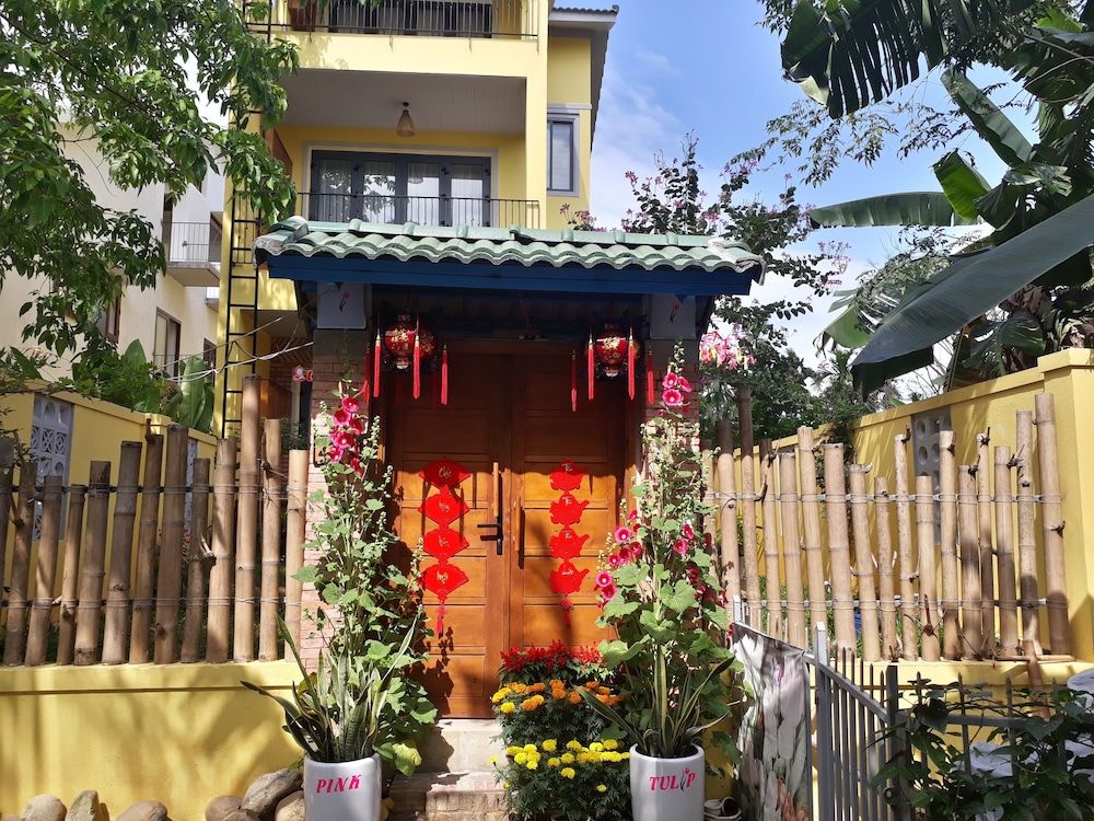 undefined Pink Tulip Hoi An 10