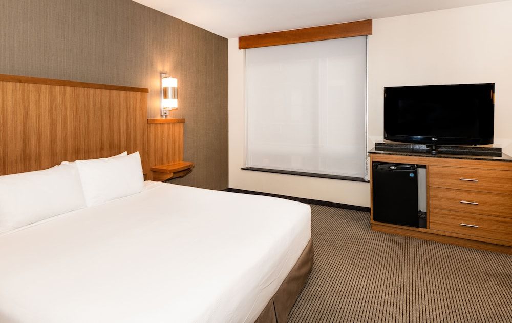 Room, 1 King Bed, Accessible (Shower)