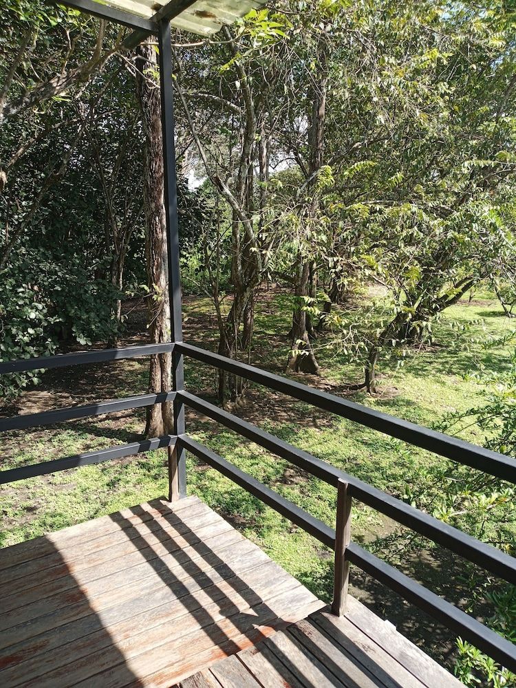 Ostional Turtle Lodge Family Tree House 17