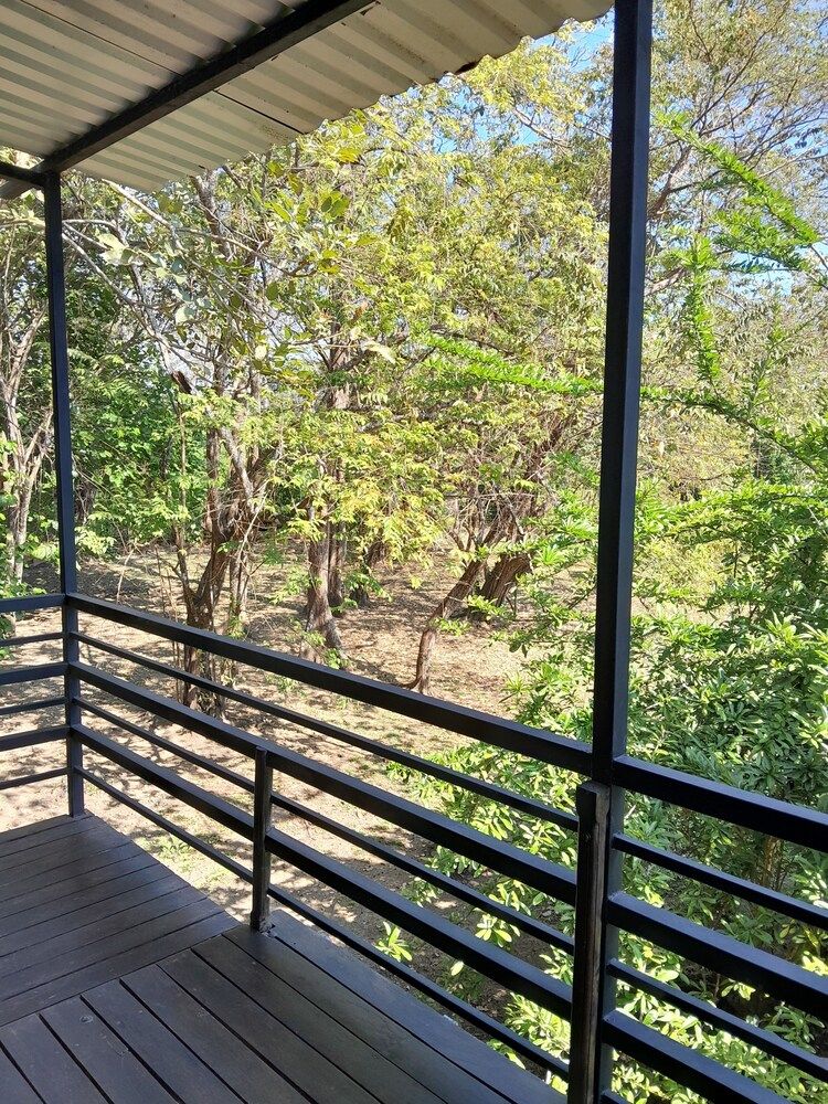 Ostional Turtle Lodge Family Tree House 11