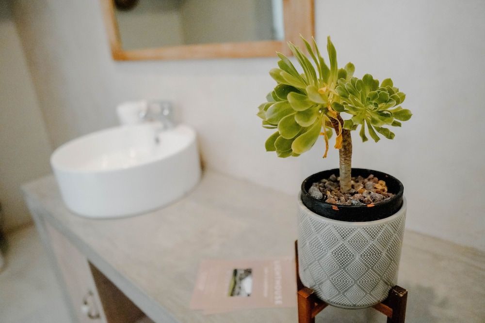 Lighthouse Guesthouse & Cafe Superior Suite 2