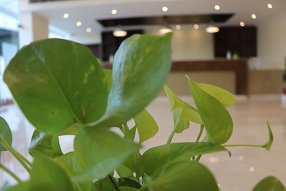 undefined Gadiraju Palace Convention Centre & Hotel 5