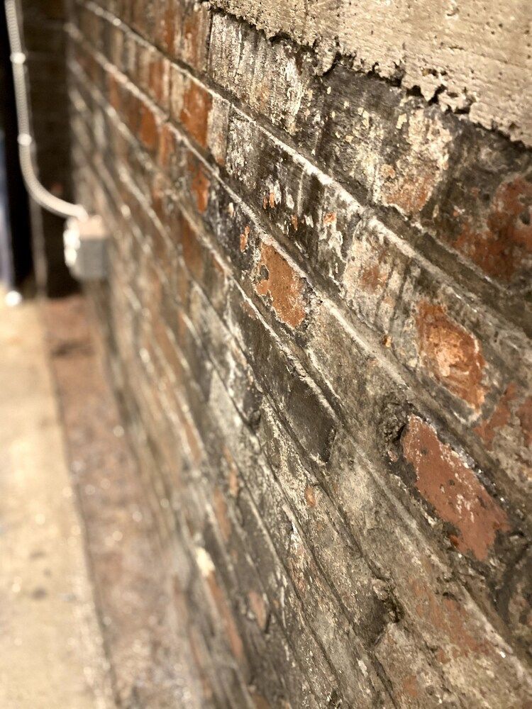 undefined 424 Gold Way - Studio Apt. 401 5