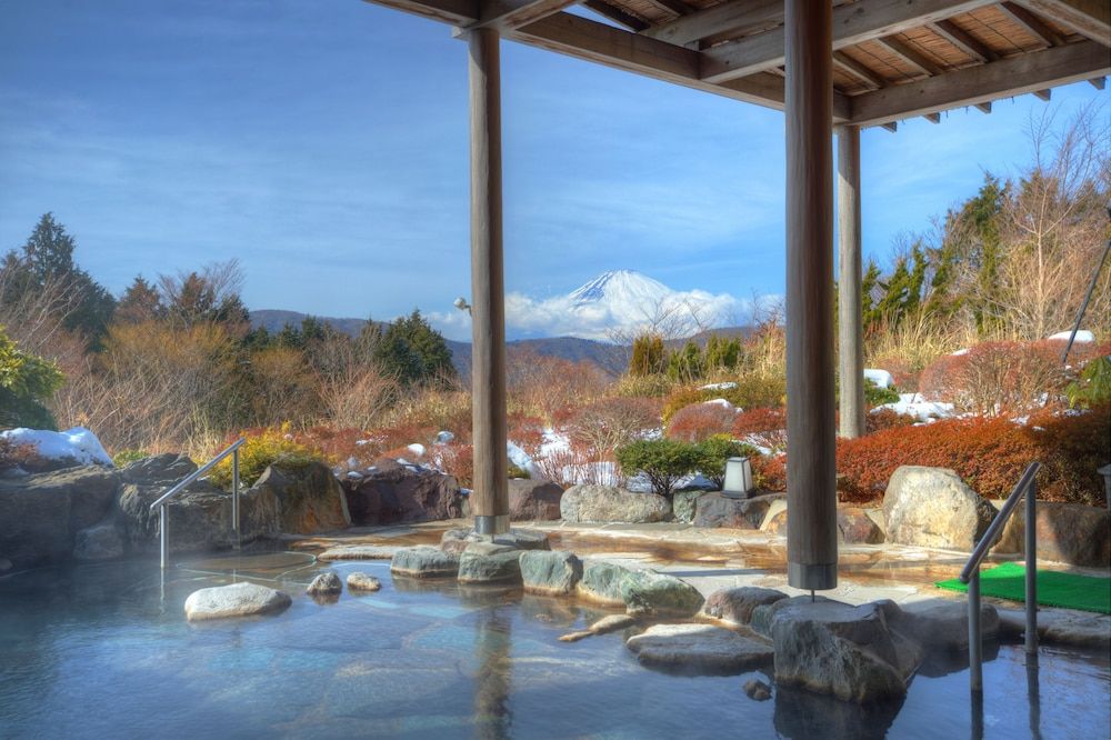 undefined Hotel Green Plaza Hakone 6
