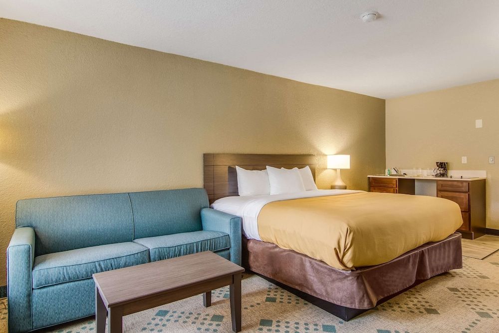 Suite, 1 King Bed with Sofa bed, Non Smoking (Efficiency)