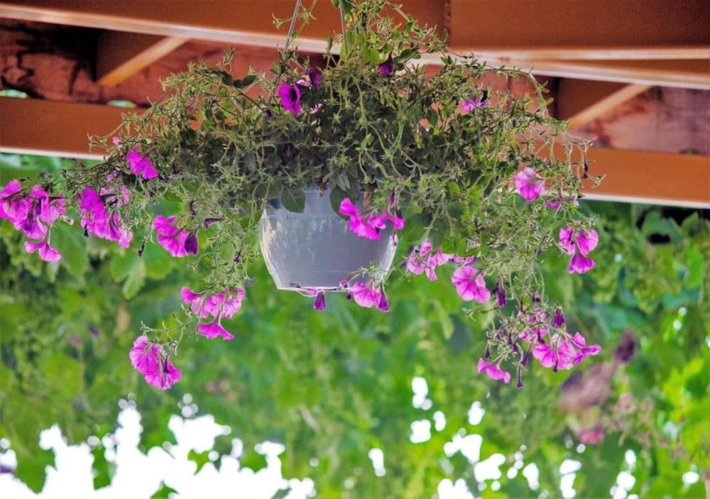 undefined Kabak Misafir Evi 8