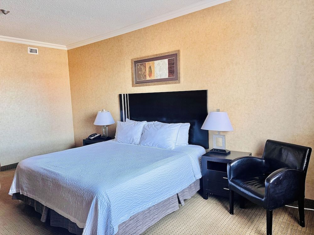 Room, 1 King Bed, Non Smoking