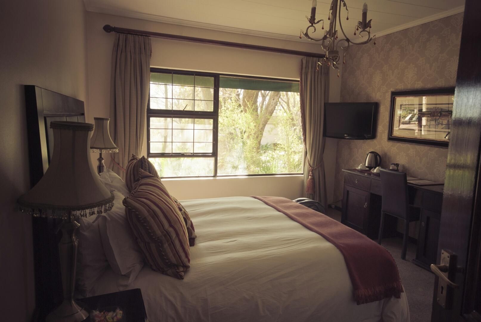 Luxury 1