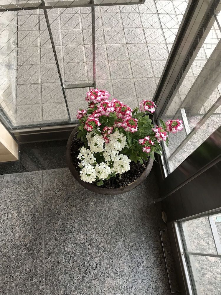 undefined Career Corporation 7