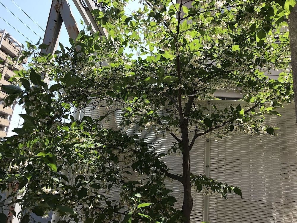 undefined Career Corporation 10