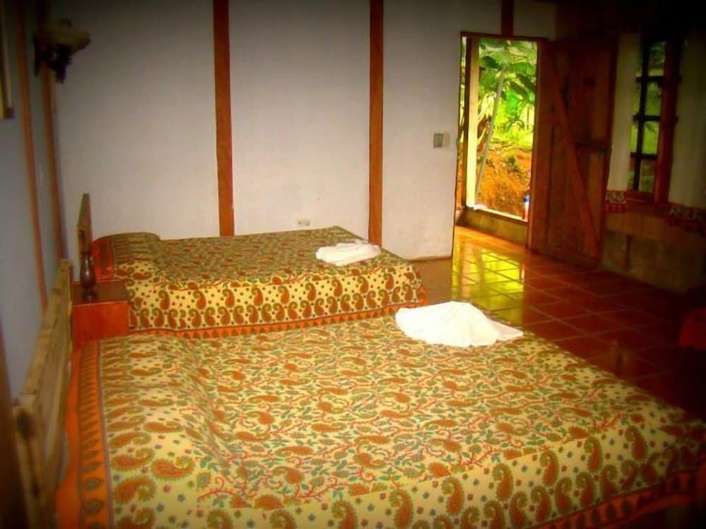 La Gamba Rainforest Lodge Standard Double Room 5