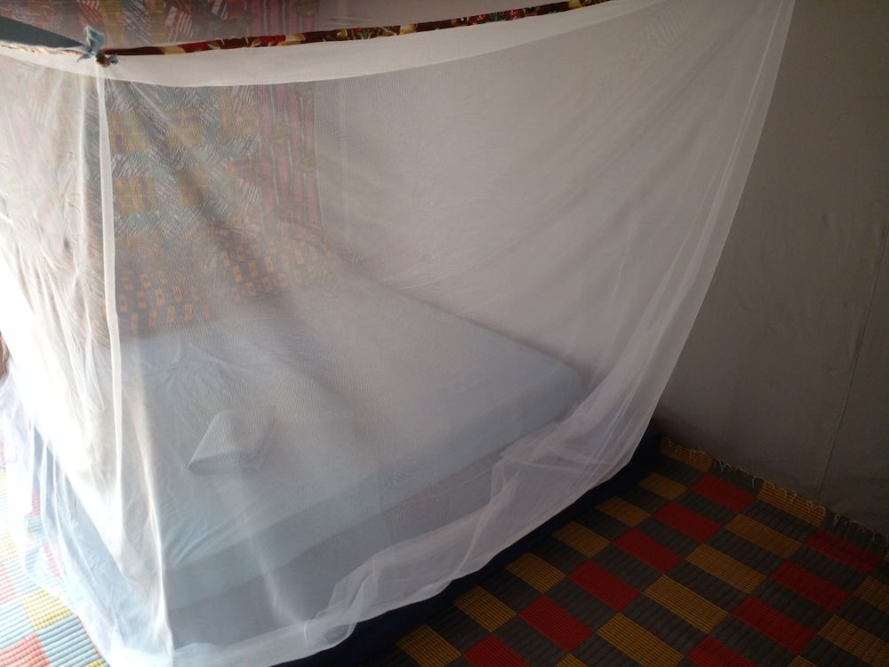 Le Triskell Auberge - Hostel Basic Cabin 5