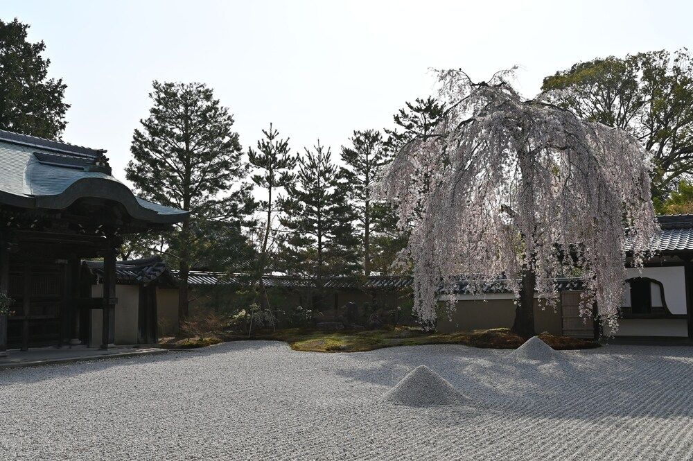 undefined Connect inn Kujo Kawaramachi 8