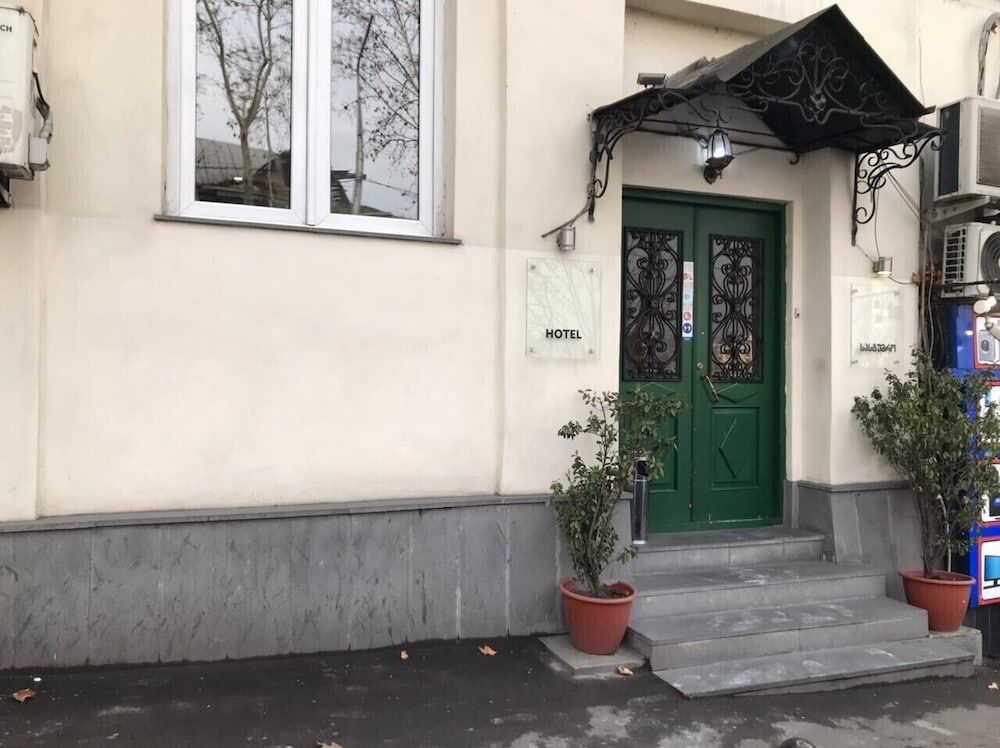 undefined green classic 6