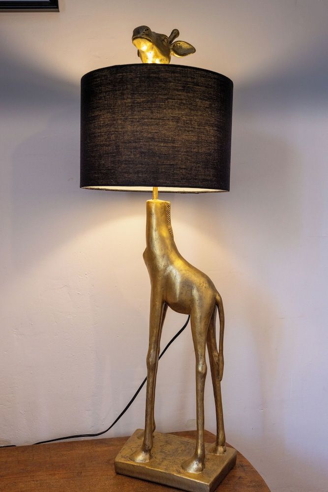 Le Grand Bassin Room 2 : Safran, The Castelnaudary Grand Bassin View 6