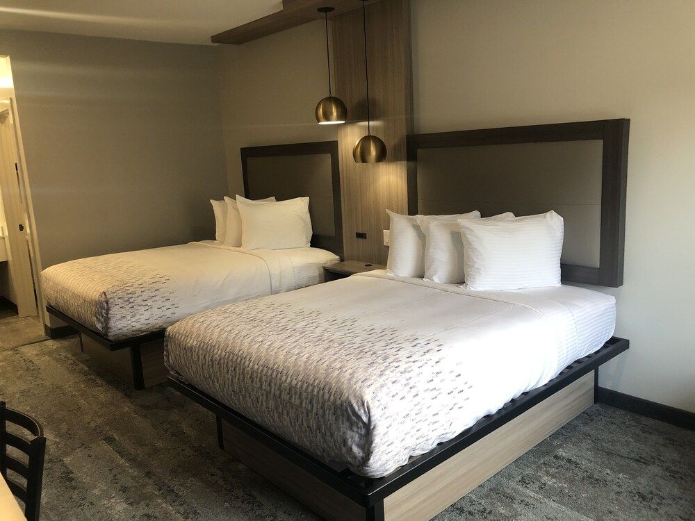 undefined Hotel Solara Hobby Airport 3