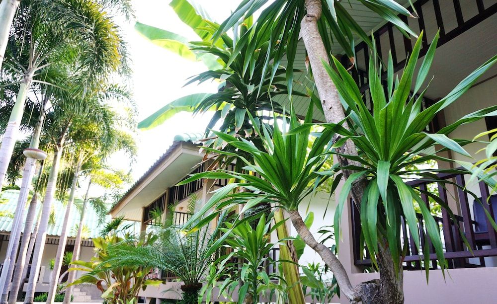 undefined Lamai Inn 99 Bungalows 6