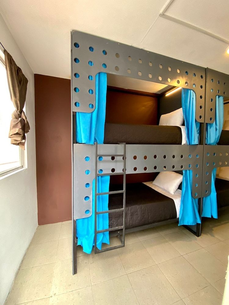 undefined Roomies Hostel Parque Mexico 2
