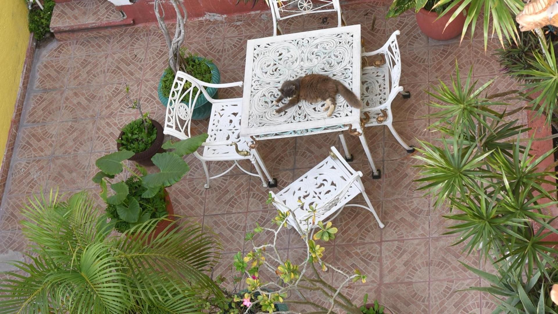 undefined Cancun Guest House 6 5