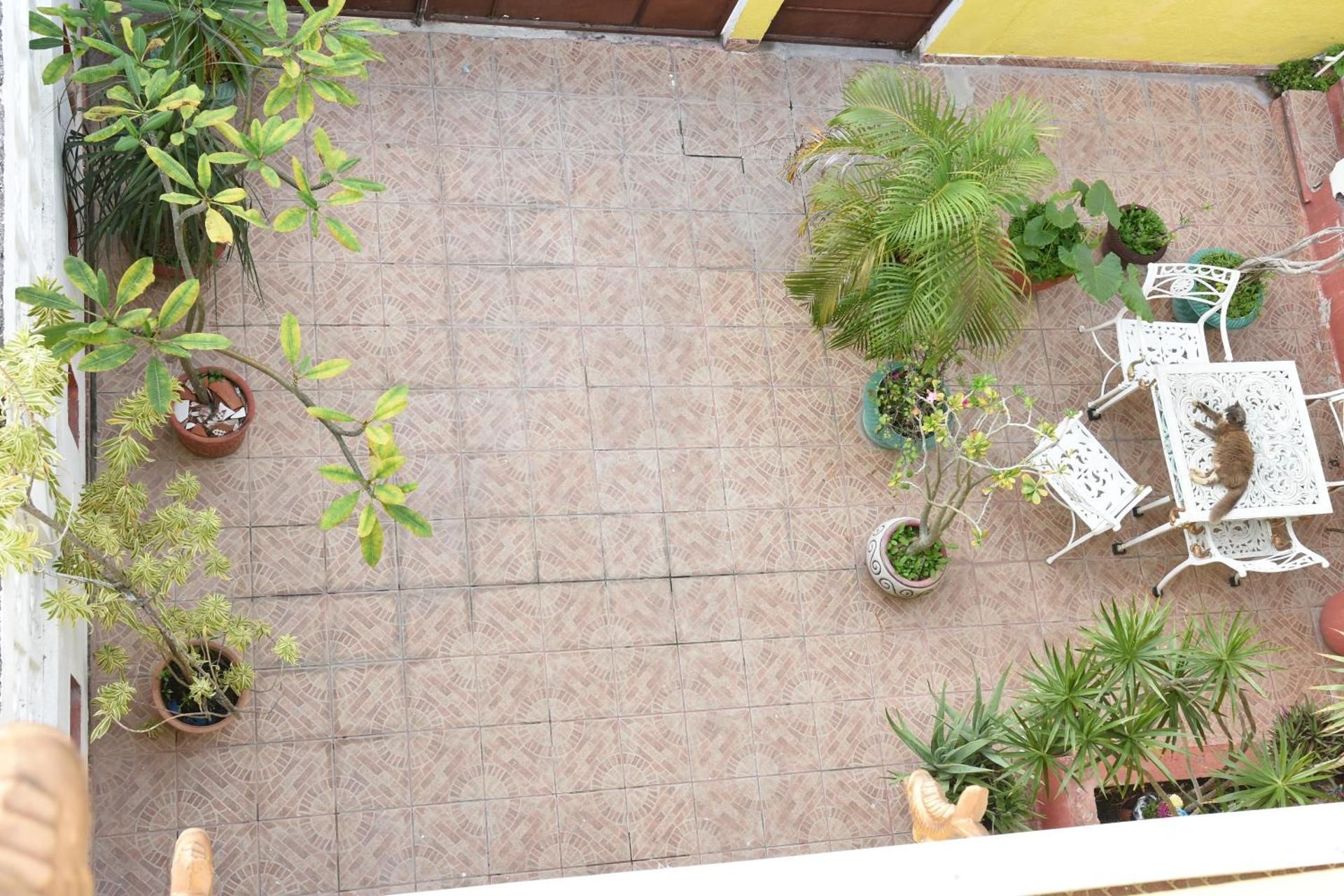 undefined Cancun Guest House 6 3