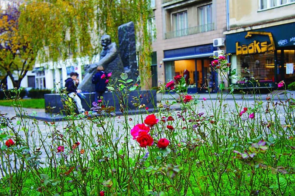 undefined Black 49 5