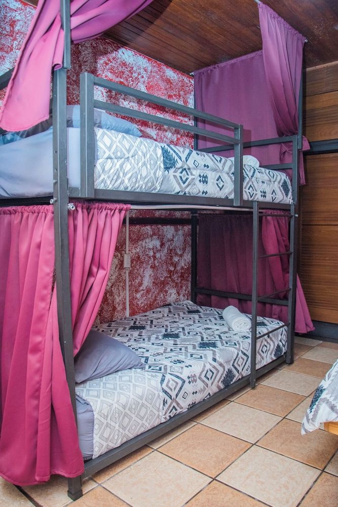 Basic Shared Dormitory (3 Beds)