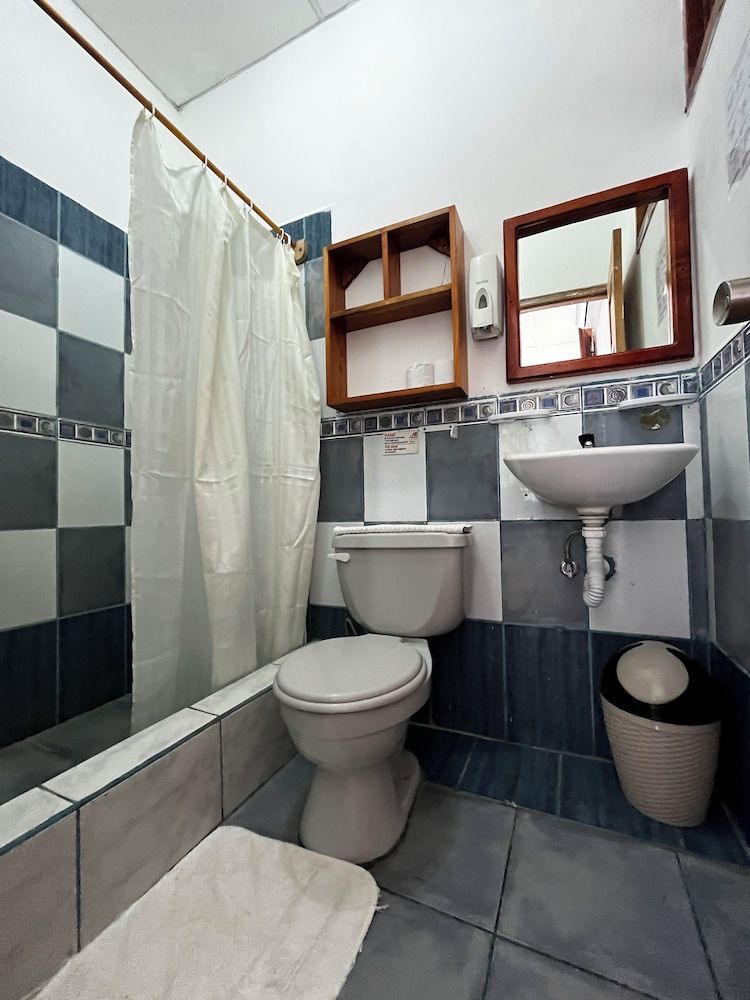 Hostal Las Gardenias Double Room, 1 Double Bed 5