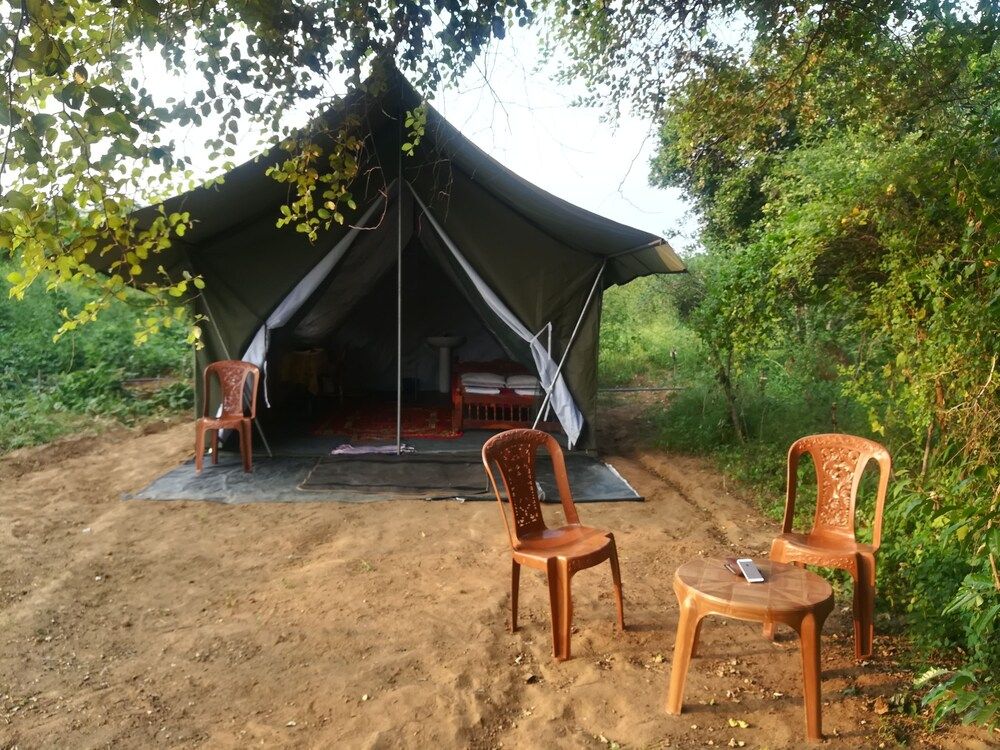 Premier Tent, 1 Bedroom (with Safari)