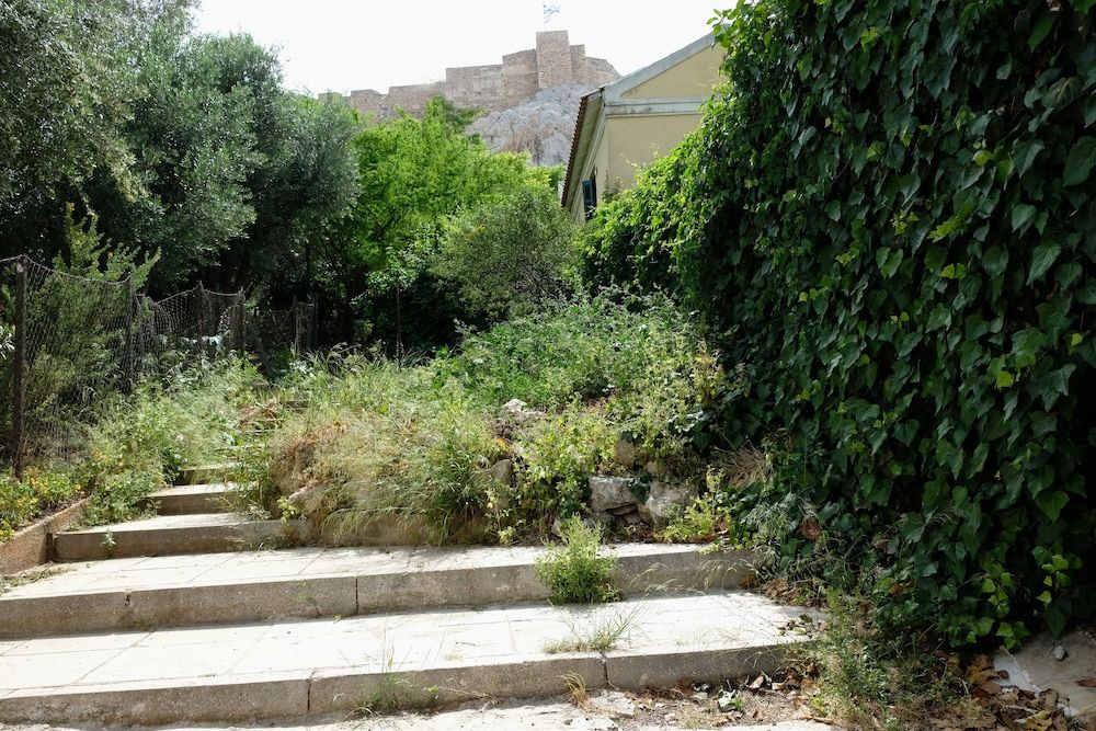 undefined George Studio 5