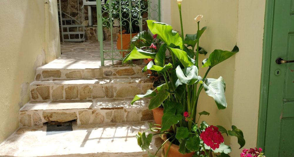 undefined George Studio 3