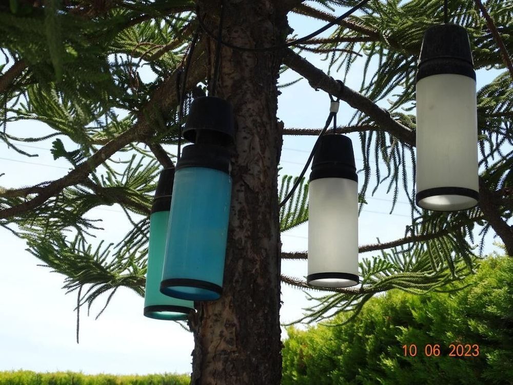 undefined Surya Butik Otel 5