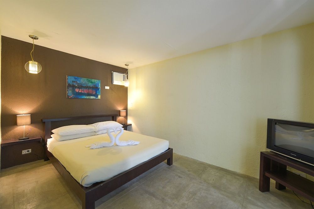 The Lazy Dog Bed & Breakfast Basic Double Room, 1 Queen Bed 3