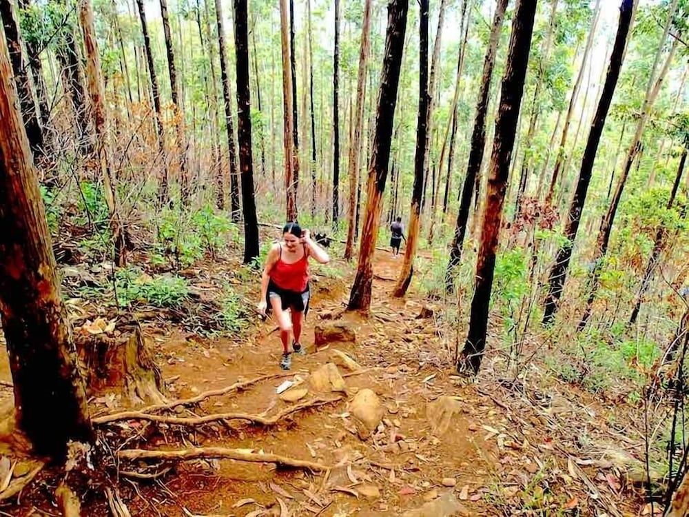 undefined Rainbow Sky Cottage Ella 5