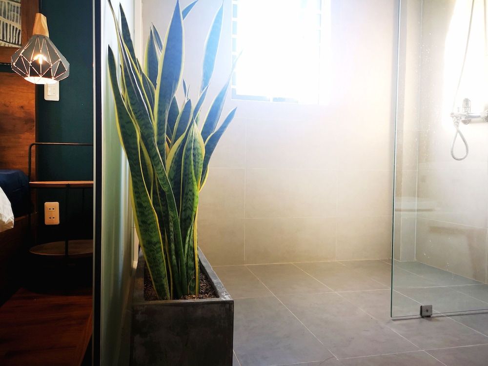 Benzen Boutique Stays Hostel and Apartment Design Double Room, 1 Queen Bed, Patio, River View 6