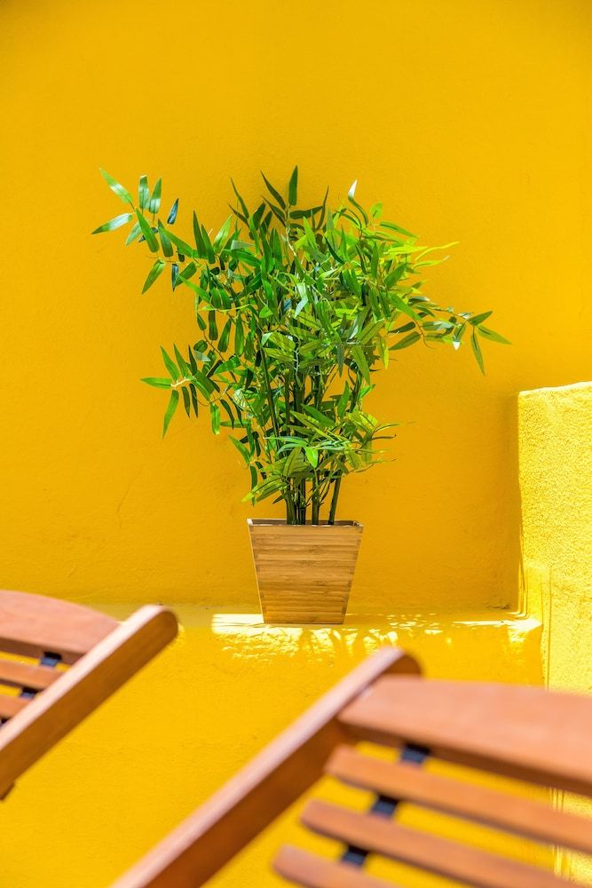 undefined Alfama, Bright Spacious W/ Terrace Apartment, By TimeCooler 2