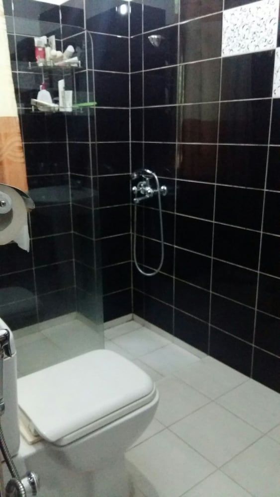 White House Pink Room with Fan 4