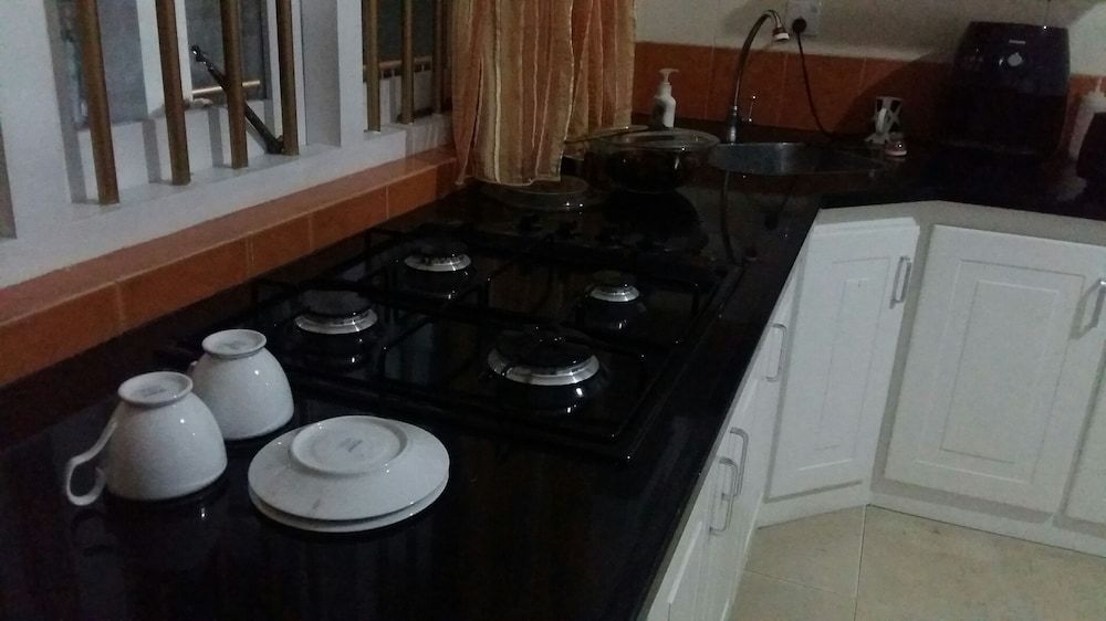 White House Brown Room with Fan 3