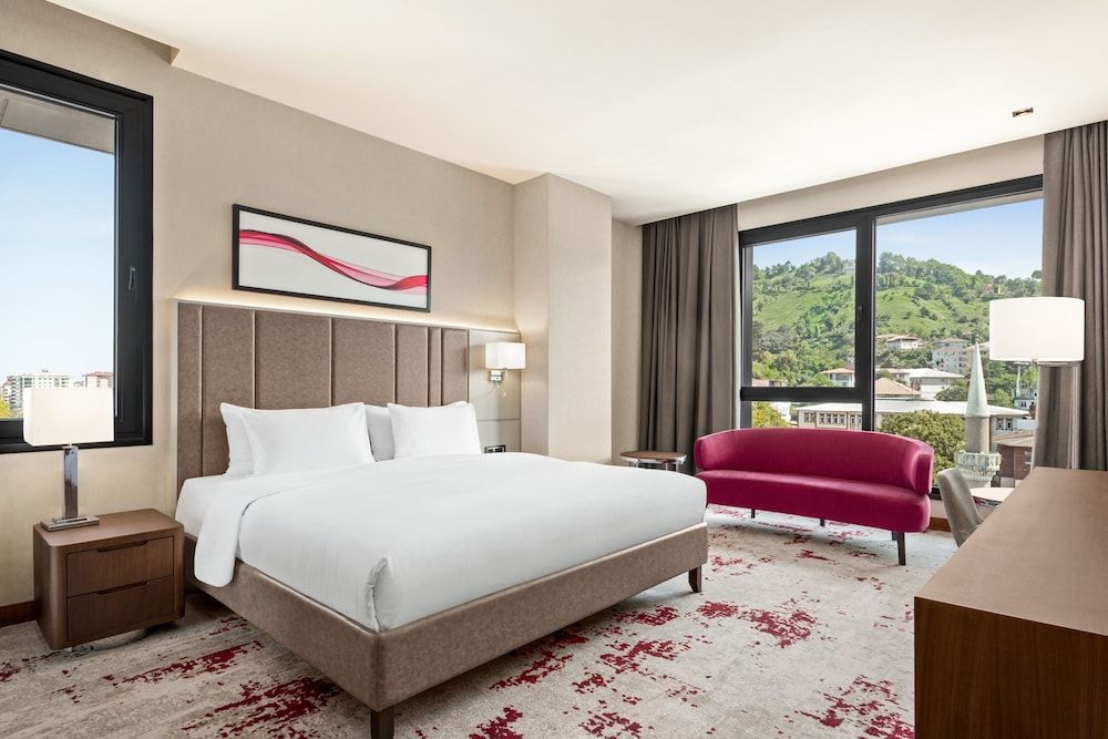 Family Room, 1 King Bed