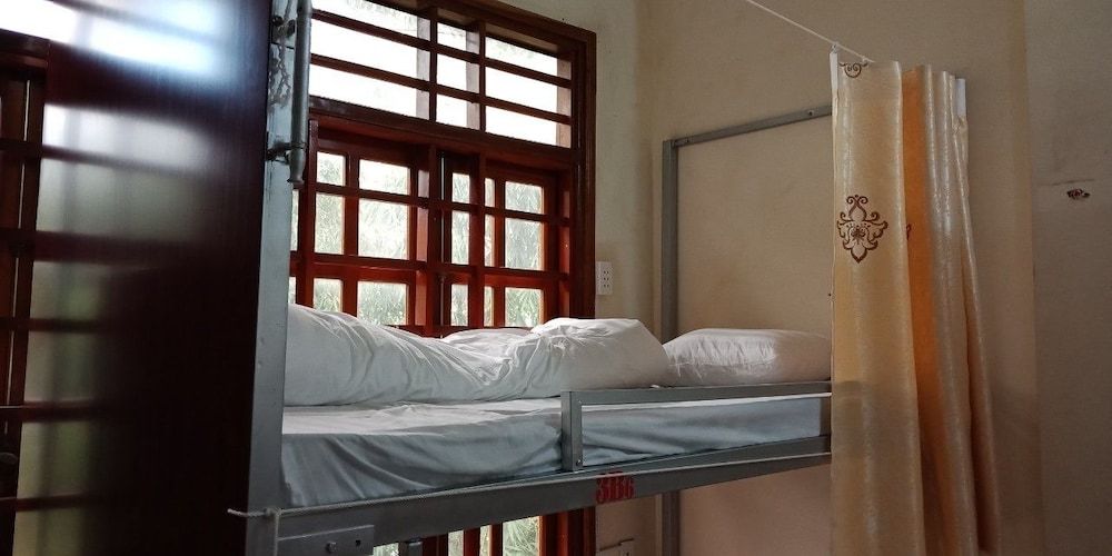 Bed in 6-Bed Dorm (Bunk Bed)