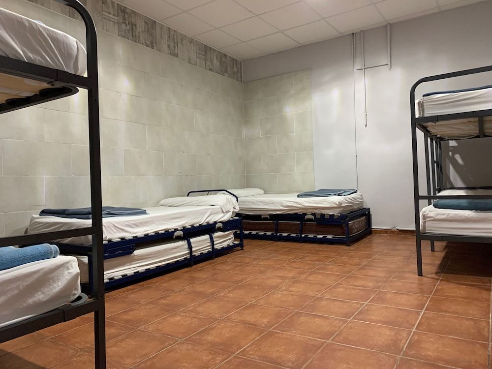 Bed in 6-Bed Mixed Dormitory Room (3)