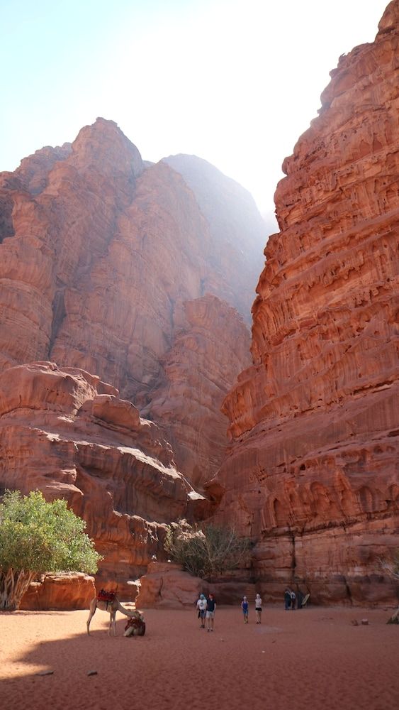 undefined Desert Bird Camp 7