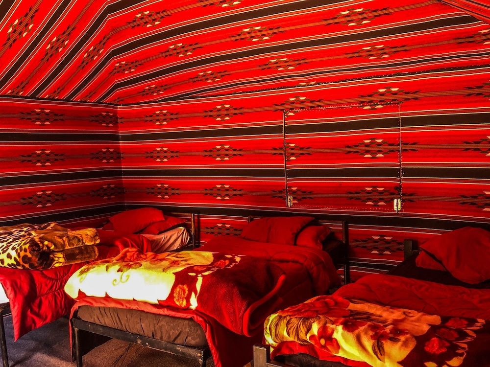 undefined Desert Bird Camp