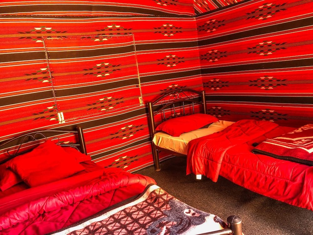 undefined Desert Bird Camp 2