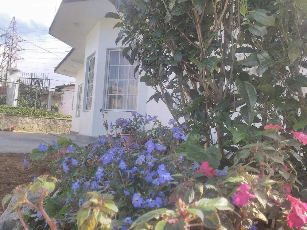 undefined The Fern Inn 5