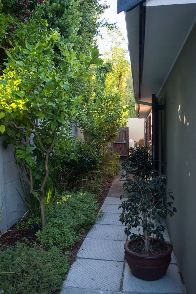 Windsor House Boho Suite 16