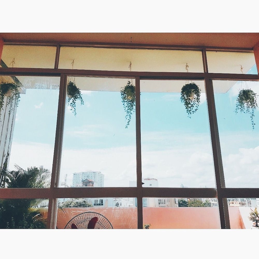 Bee Tropicool Studio 9