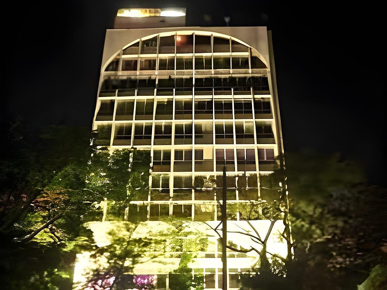 undefined Hotel Rajmahal 9